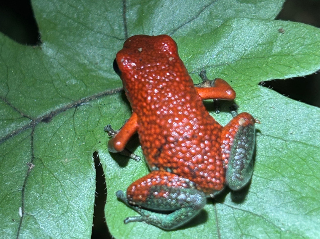 Santa Lucia Falls-乌维塔必去景点