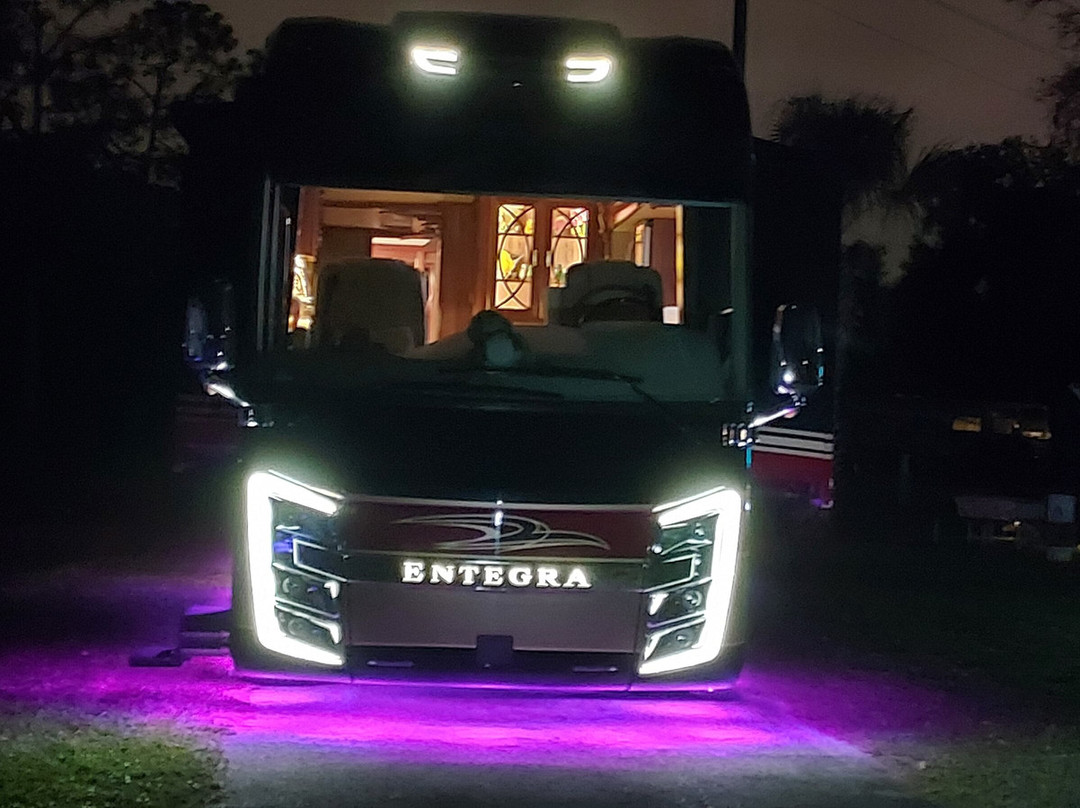 Encore Tropical Palms主图