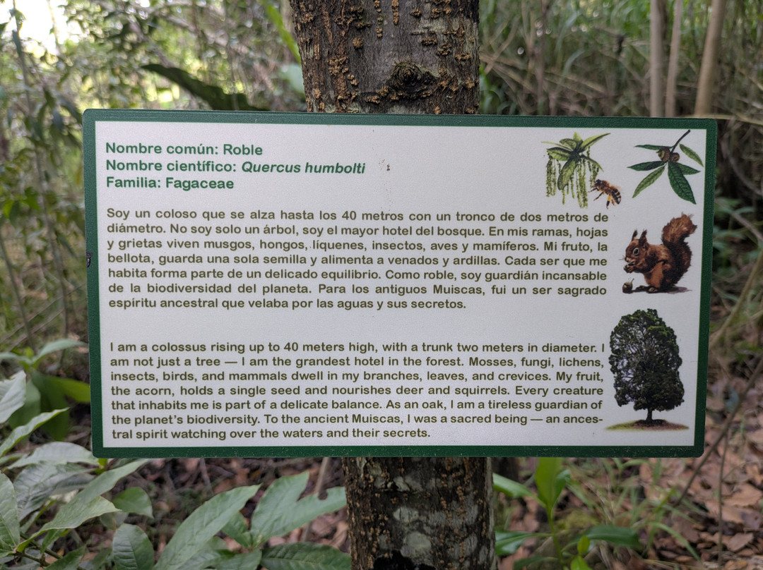 Eco Parque Conscientia Universallis-莱瓦镇必去景点