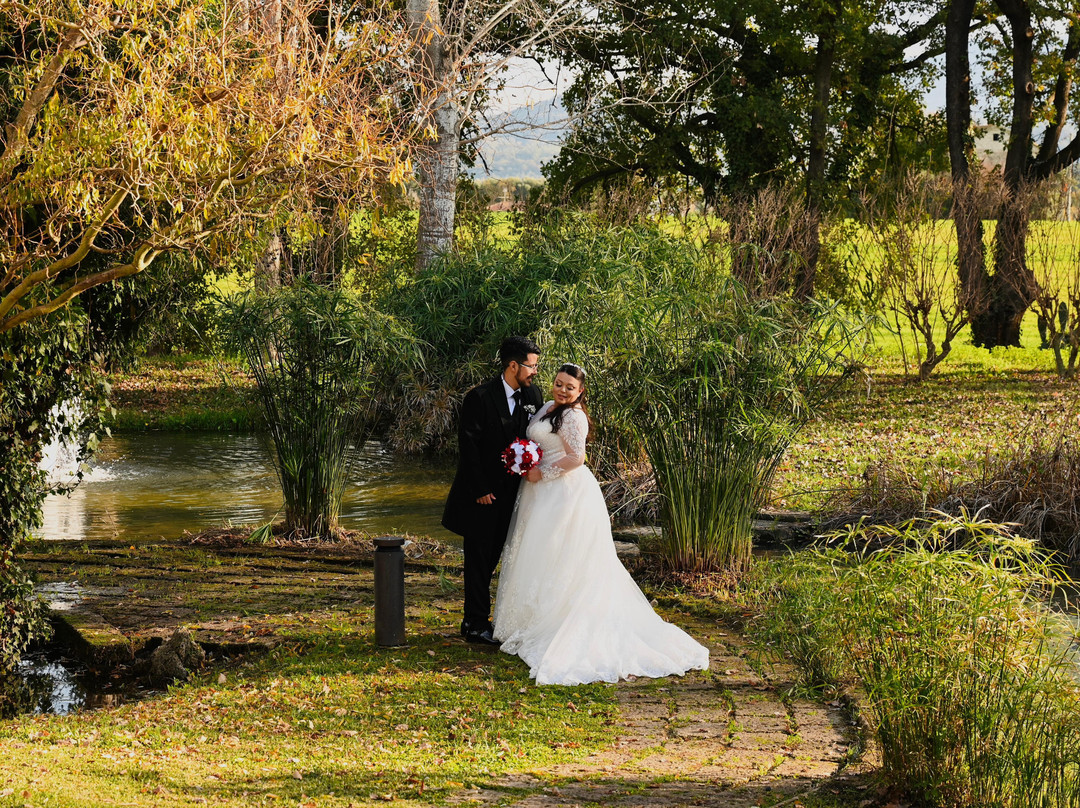 L'Araba Fenice Hotel & Resort主图