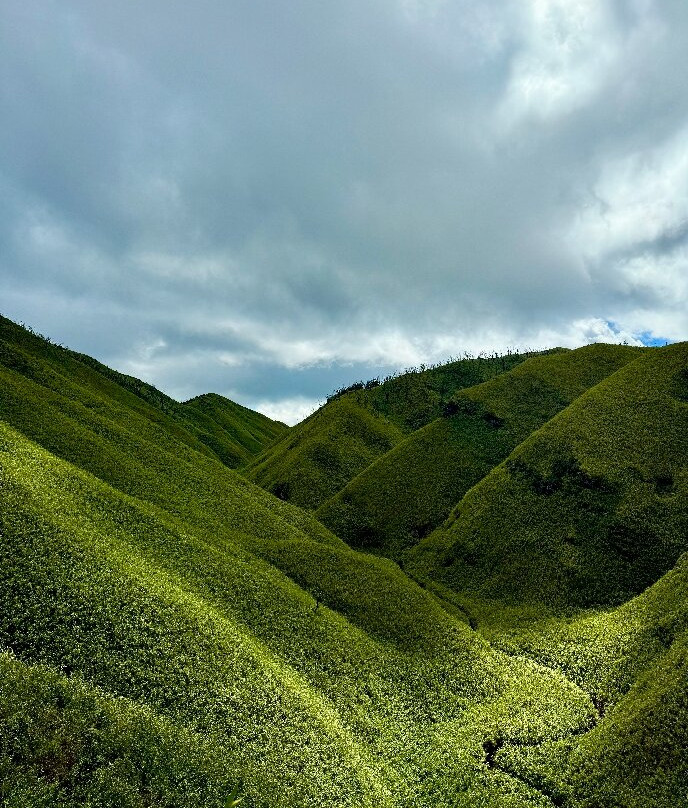 Dzukou Valley-Kohima必去景点