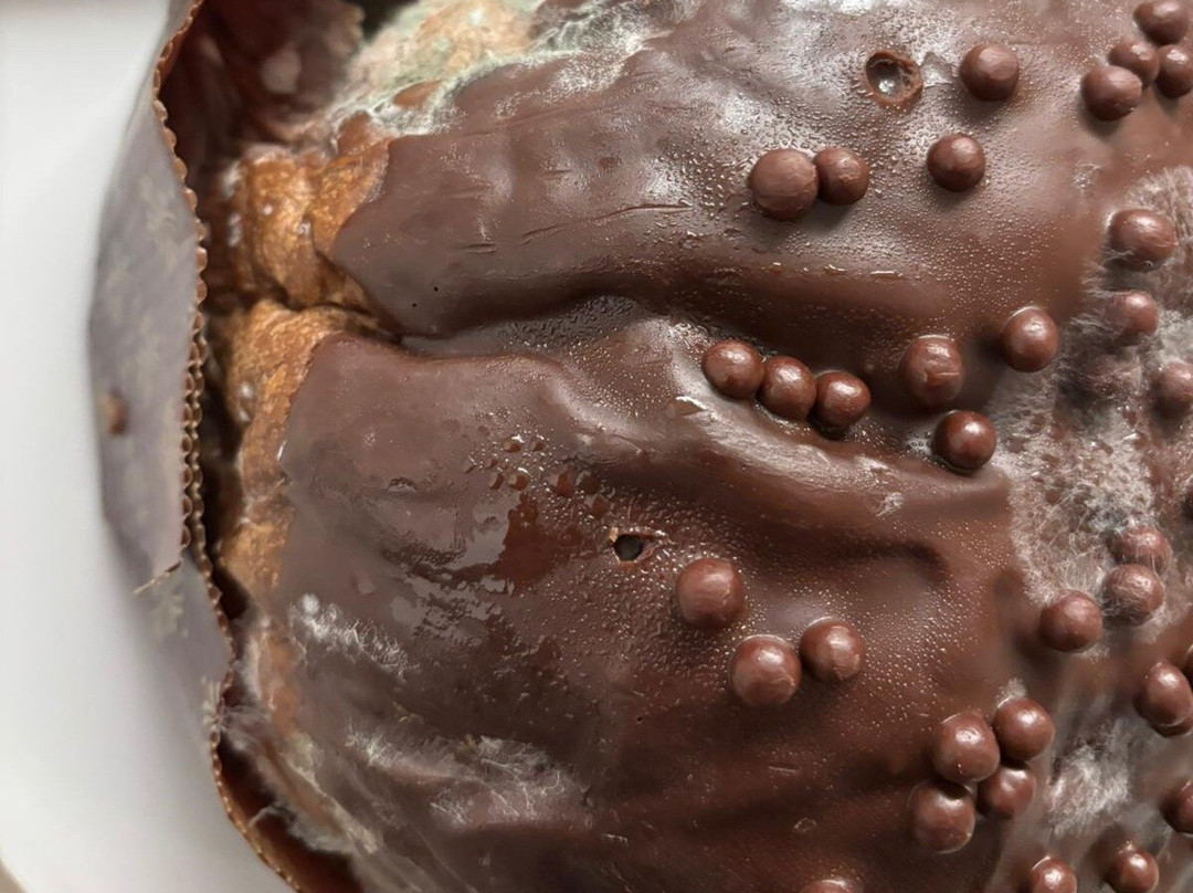 Splendor Pan Tre Di Elisa Mazzitelli