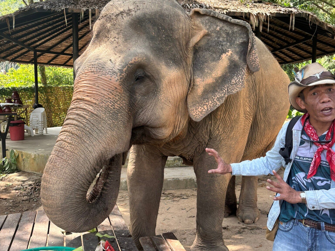 Phuket Elephant Nature Reserve-他朗必去景点