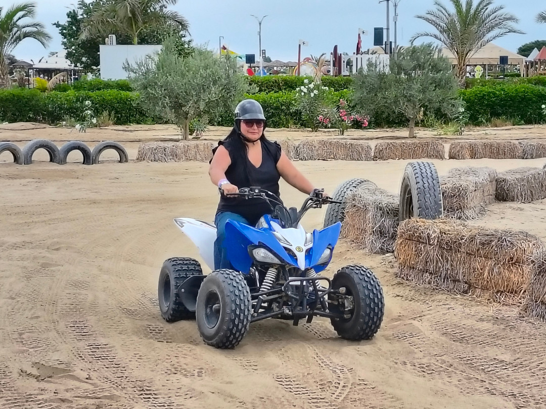 Dromedarius-伊卡必去景点