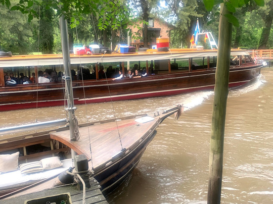 Delta Unplugged-蒂格雷必去景点