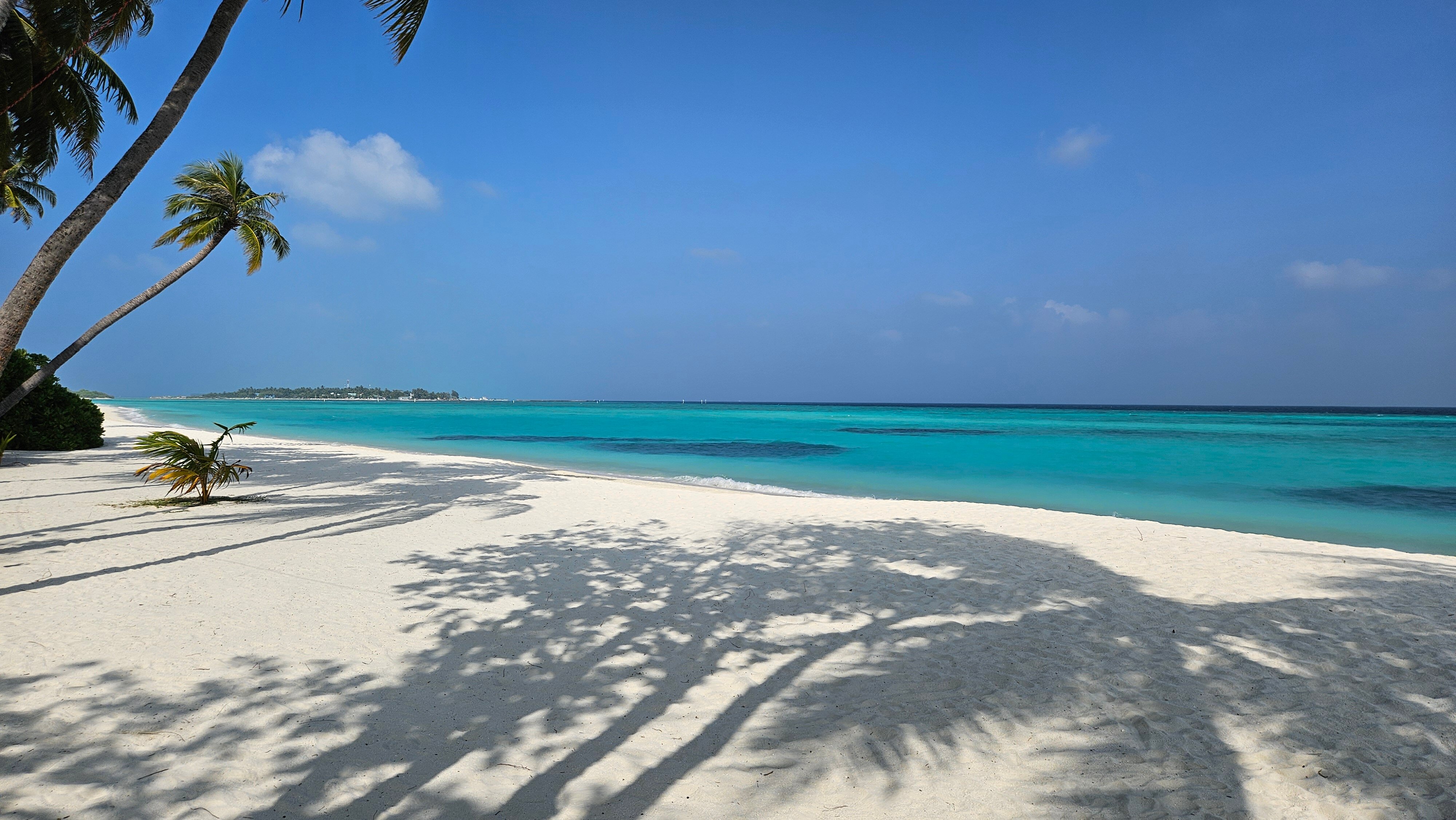 太阳岛度假村-泳池