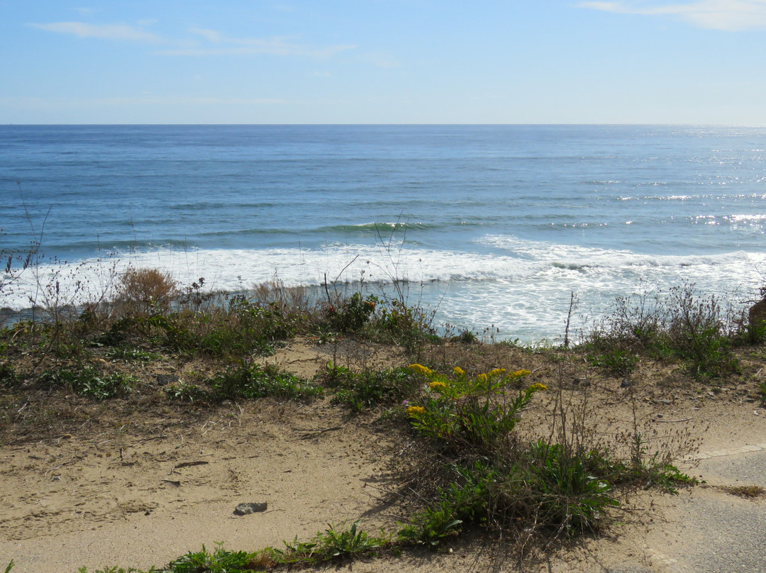 Coast Guard Beach-伊斯特姆必去景点