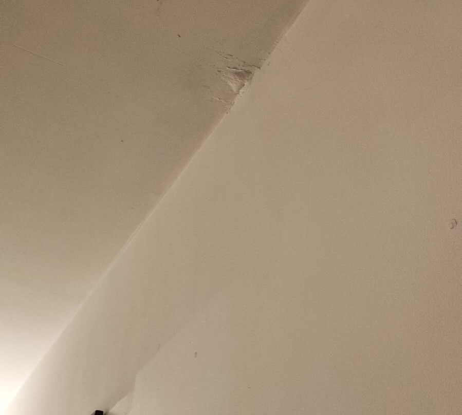 豪华收藏酒店巴夫纳加尔主图
