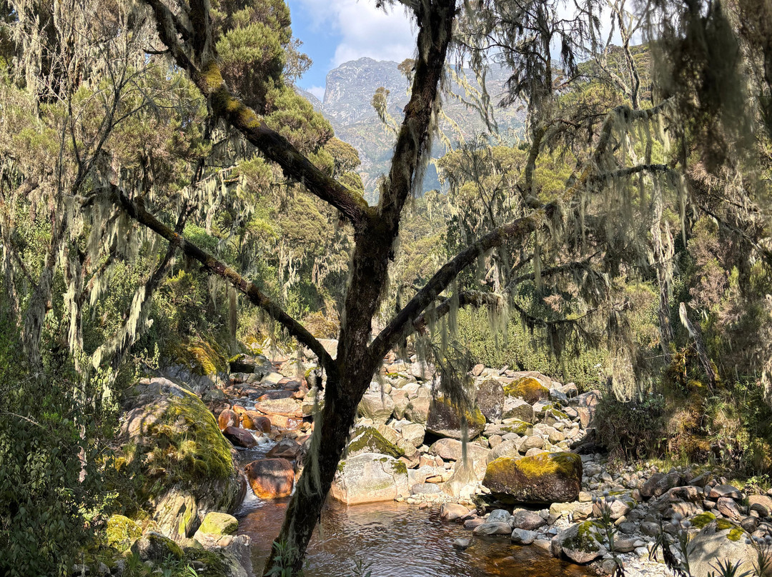 Rwenzori Trekking Services-Kasese必去景点