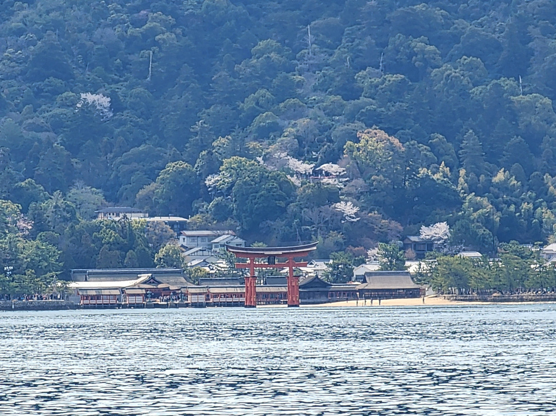 Itsukushima Shrine Torii-廿日市市必去景点