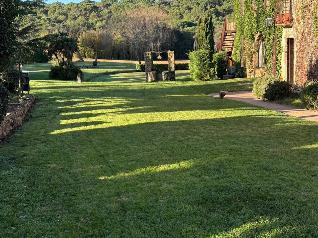 Avalon Holistic Ayahuasca Retreats-巴塞罗那必去景点