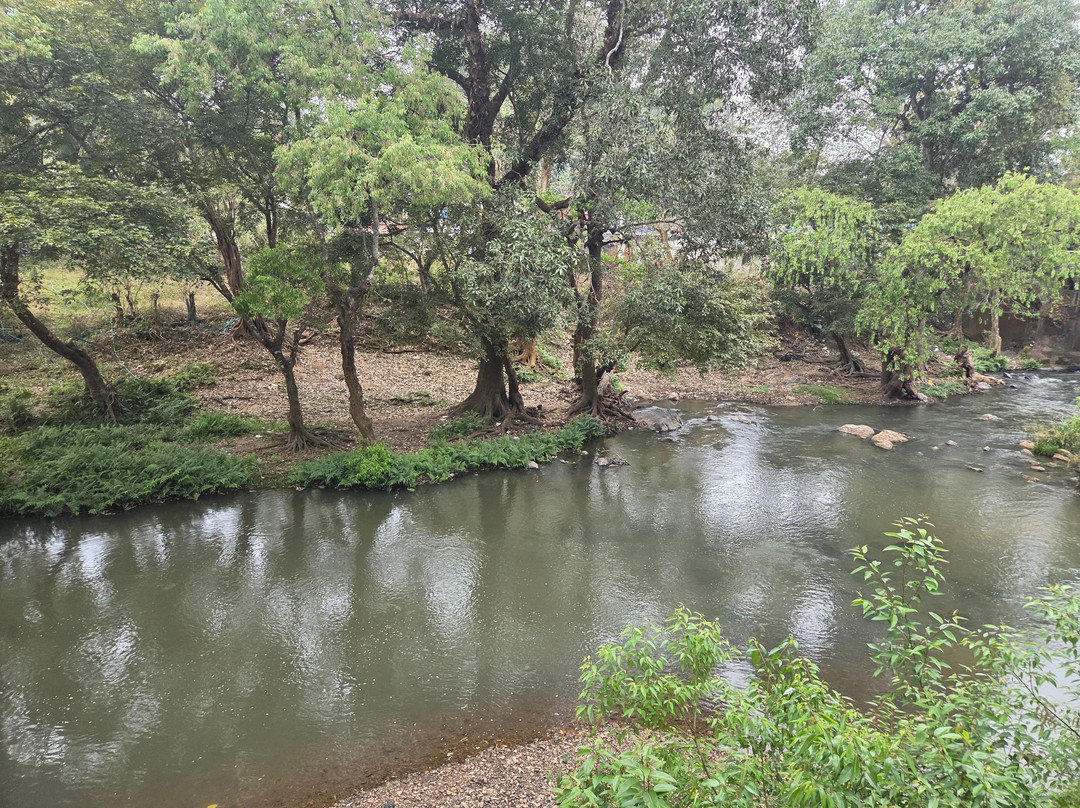 Regenta Jungle Resort Kabini Springs主图