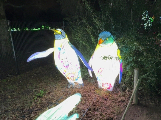 Beekse Bergen - Light Safari-希尔法伦贝克必去景点