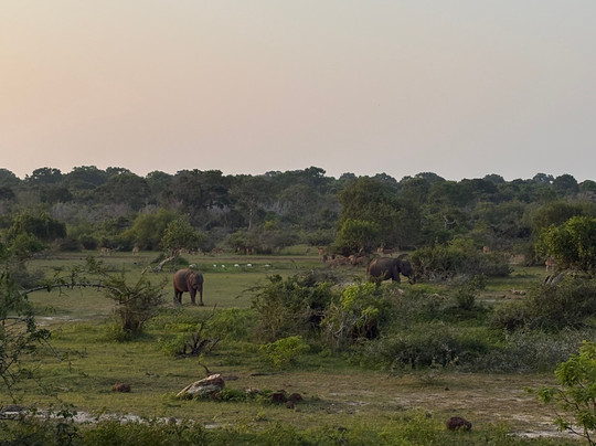 Ceylon Chase-Weerawila必去景点