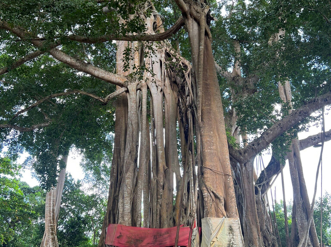 Moramora Escursioni-诺西贝必去景点