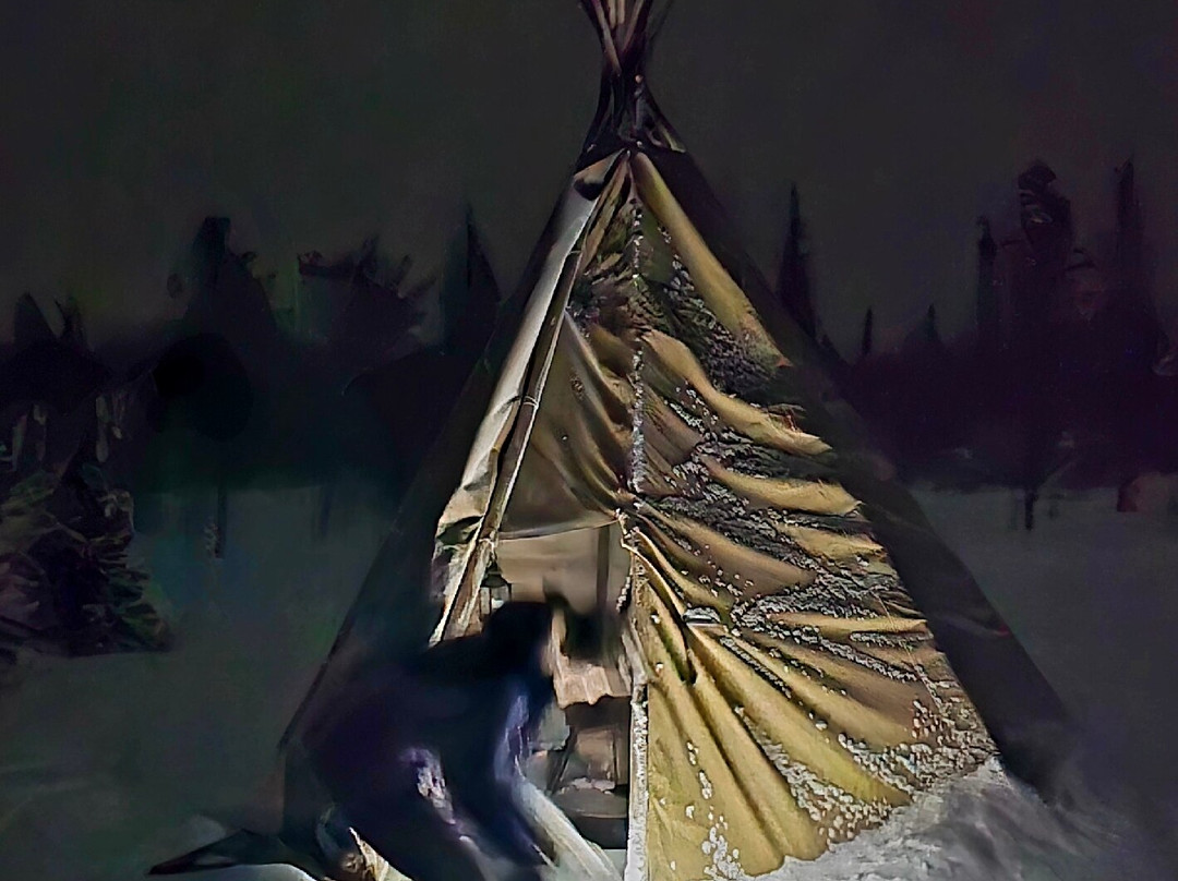 SkySled Tours-Kurravaara必去景点