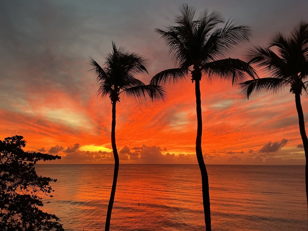 Waves Resort & Spa, An Autograph Collection All-Inclusive Resort-酒店景观