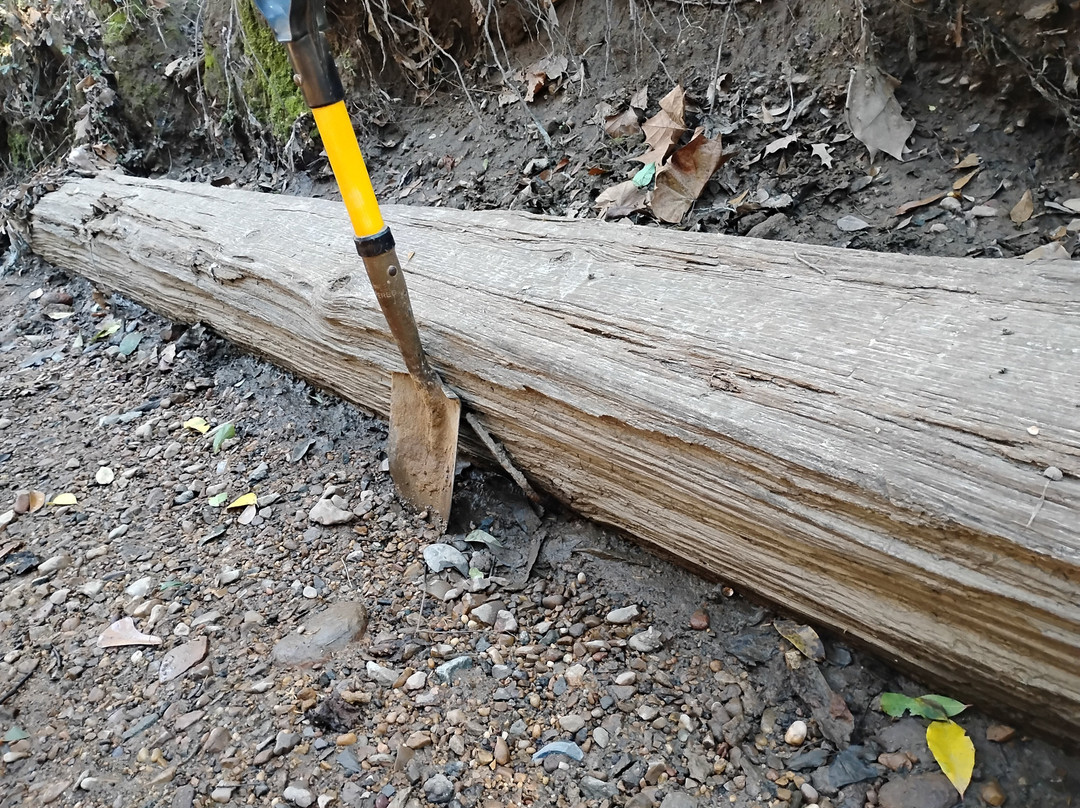 纳奇兹酒店住宿-The Bridges Hotel