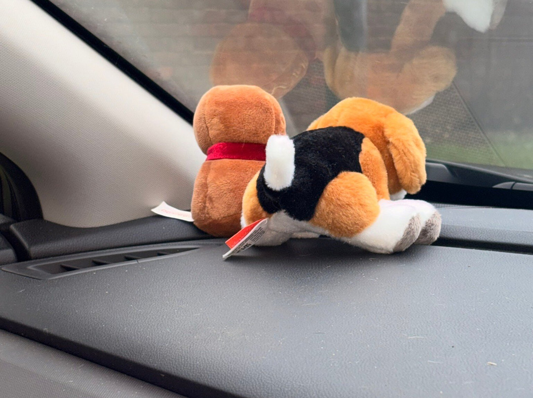 Rspb Bempton Cliffs-Bempton必去景点