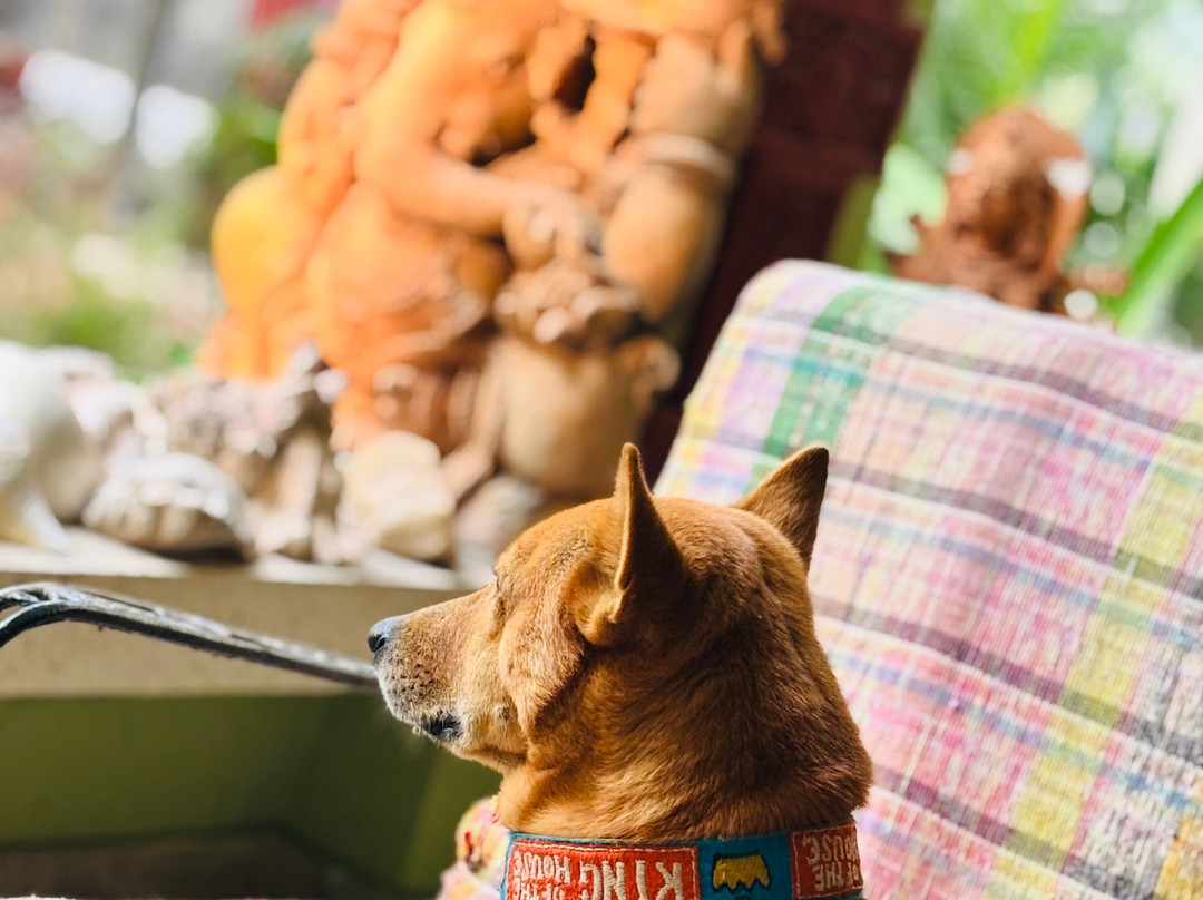 Nayana's Homestay主图