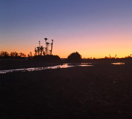 amrdouz SKOURA VTT excursions-Skoura必去景点