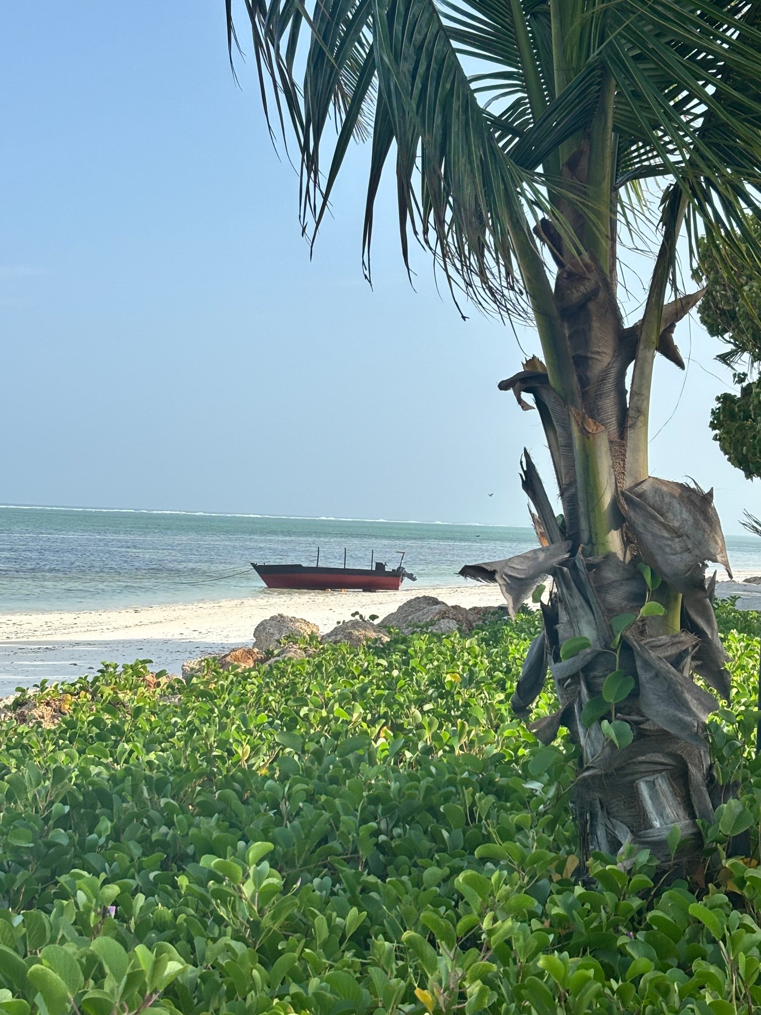 微风海滩俱乐部及Spa酒店-泳池