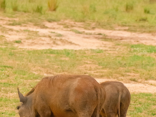 PETNAH AFRICA TOURS-坎帕拉必去景点