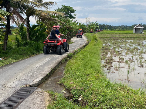 Reddog Bali Tours-库塔必去景点