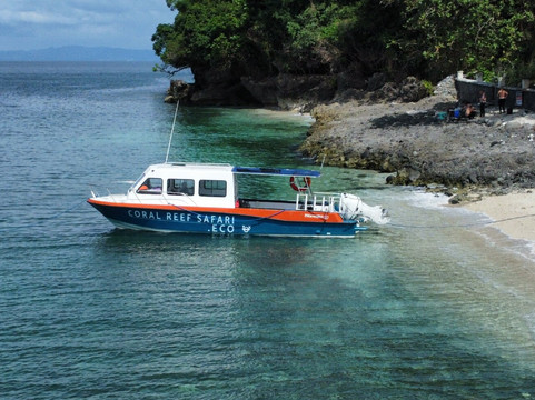 Coral Reef Safari - Verde Island Passage-葡多咖蕾拉必去景点