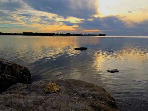 Brasher Park-里奇港必去景点