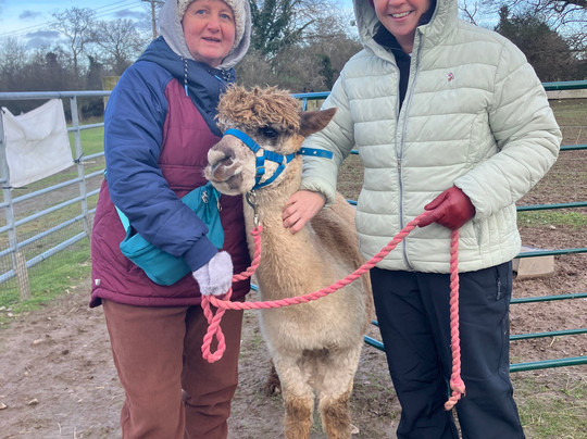 Faerie Tale Alpacas-凯尼尔沃思必去景点