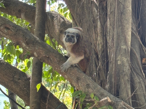 True Colombia Travel-麦德林必去景点