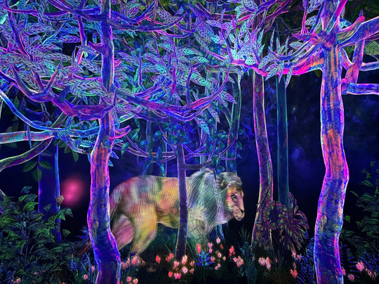 teamLab Planets TOKYO-Toyosu必去景点