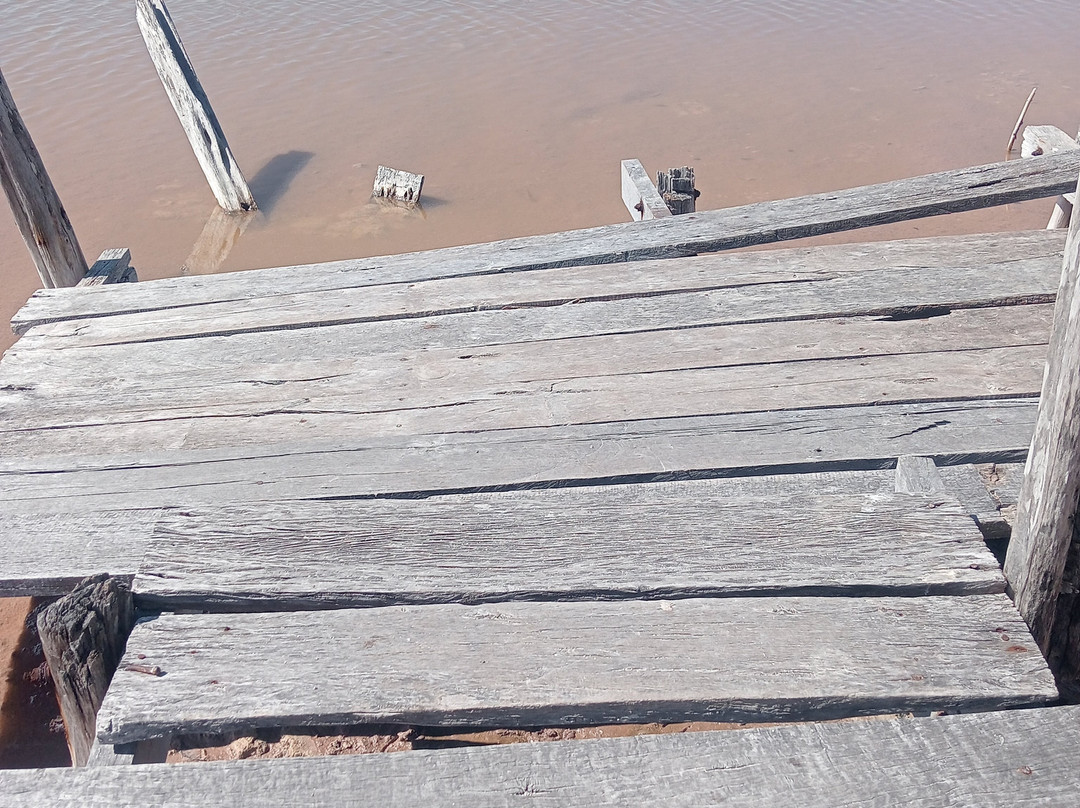 Guardianes De Los Manglares De Dzinintún-塞莱斯顿必去景点