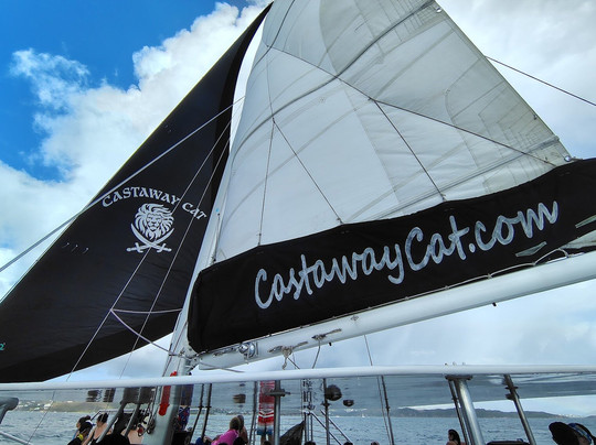 Castaway Cat-夏洛特阿马利亚必去景点