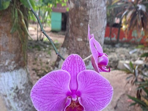 Cenote Verde Lucero-从莫雷洛斯港必去景点