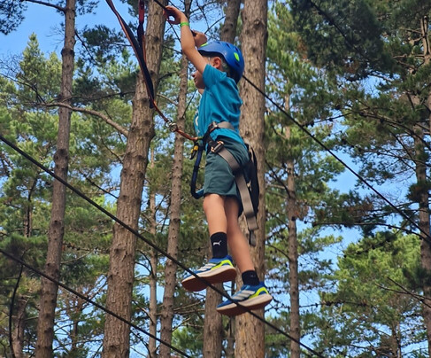 Tree Adventures-伍德山必去景点