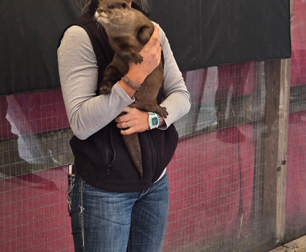 Animal EDventure Park & Safari-博因顿海滩必去景点