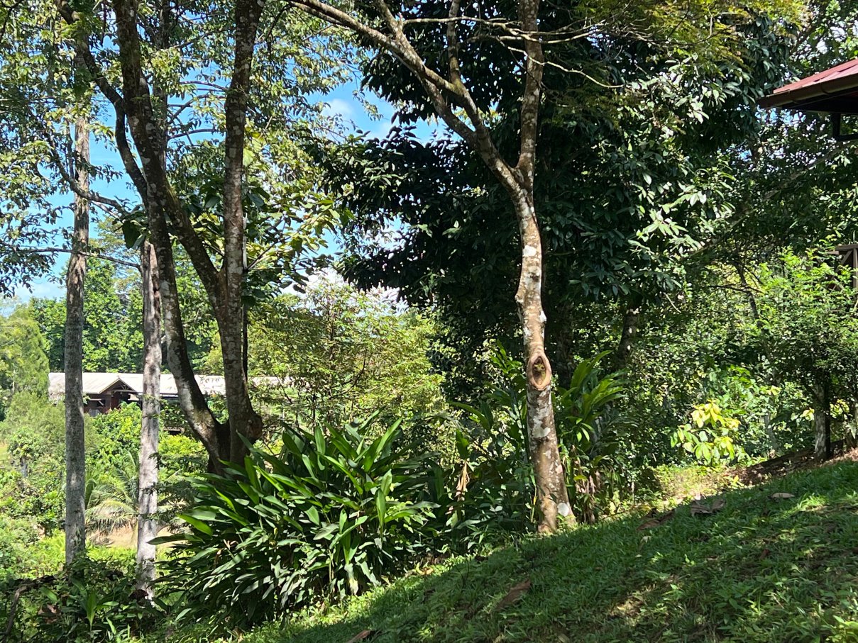 西必洛林缘度假村-官方