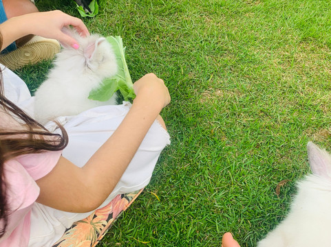 Valentim Iogurteria Artesanal-多明戈斯-马丁斯必去景点