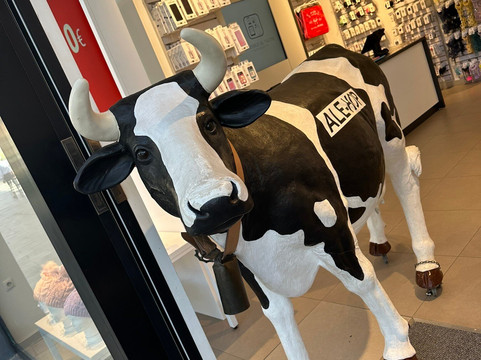 Mogan Mall-波多黎各必去景点