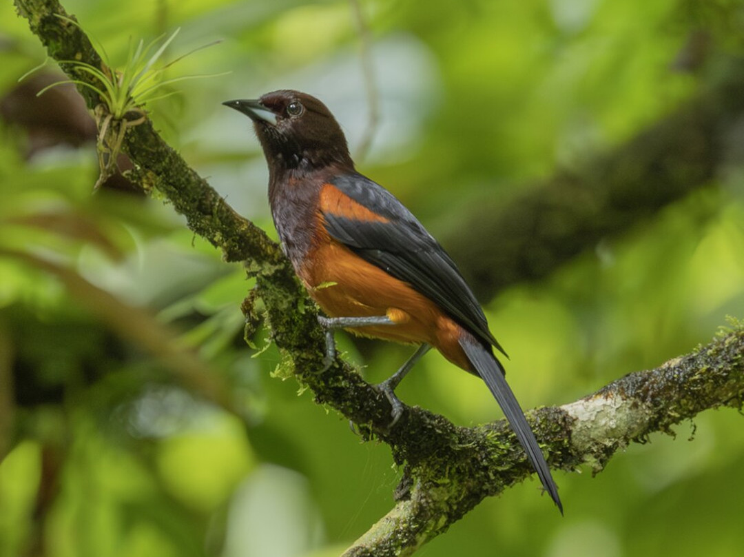 Domaine d'Emeraude-Le Morne-Rouge必去景点