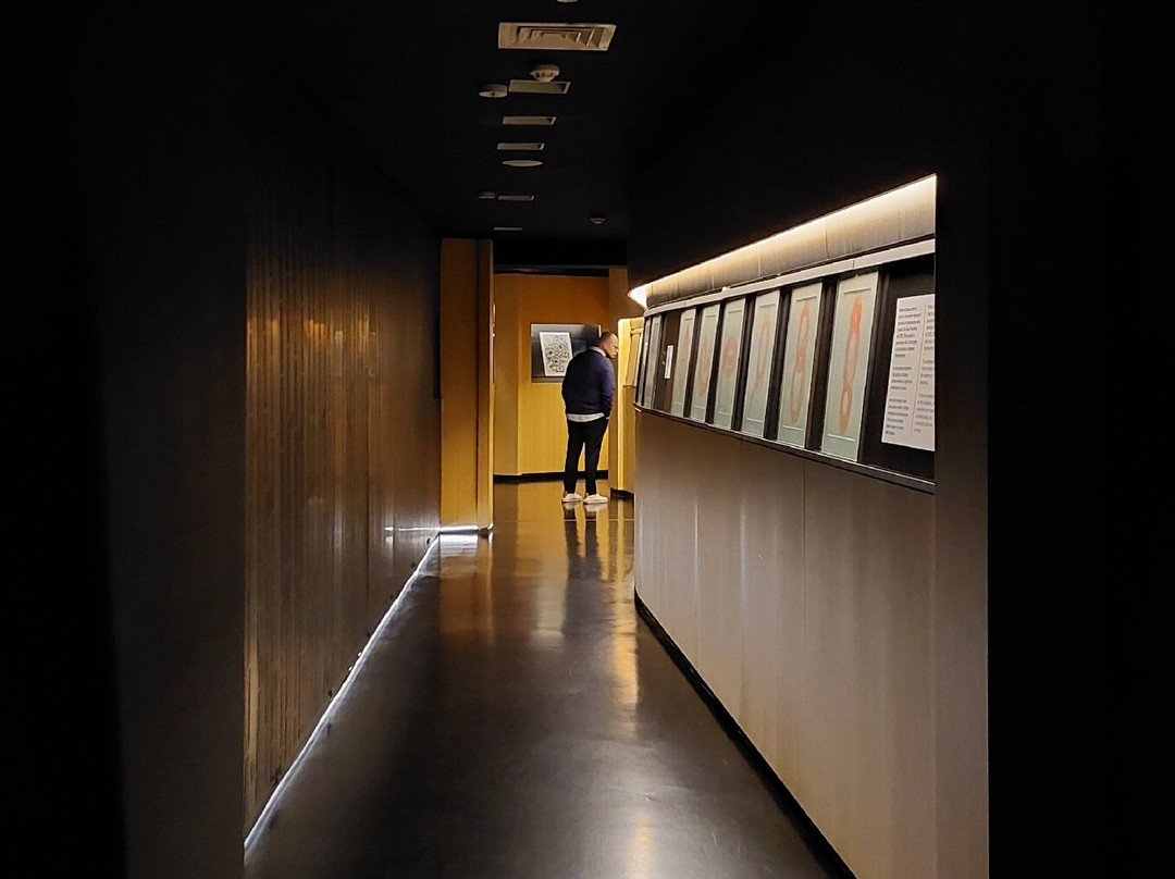 MAO - Museo d'Arte Orientale-都灵必去景点