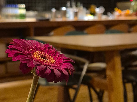 Kiketi Farm Wine-第比利斯必去景点