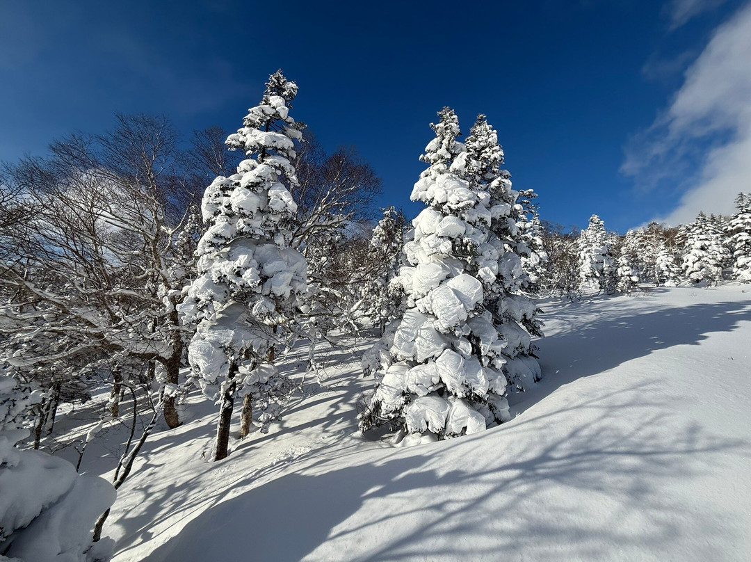 Amihari Onsen Ski Area-雫石町必去景点