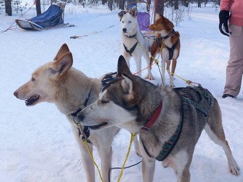 Peakpoints-Salen必去景点