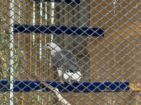 Raptor Refuge-Kettering必去景点