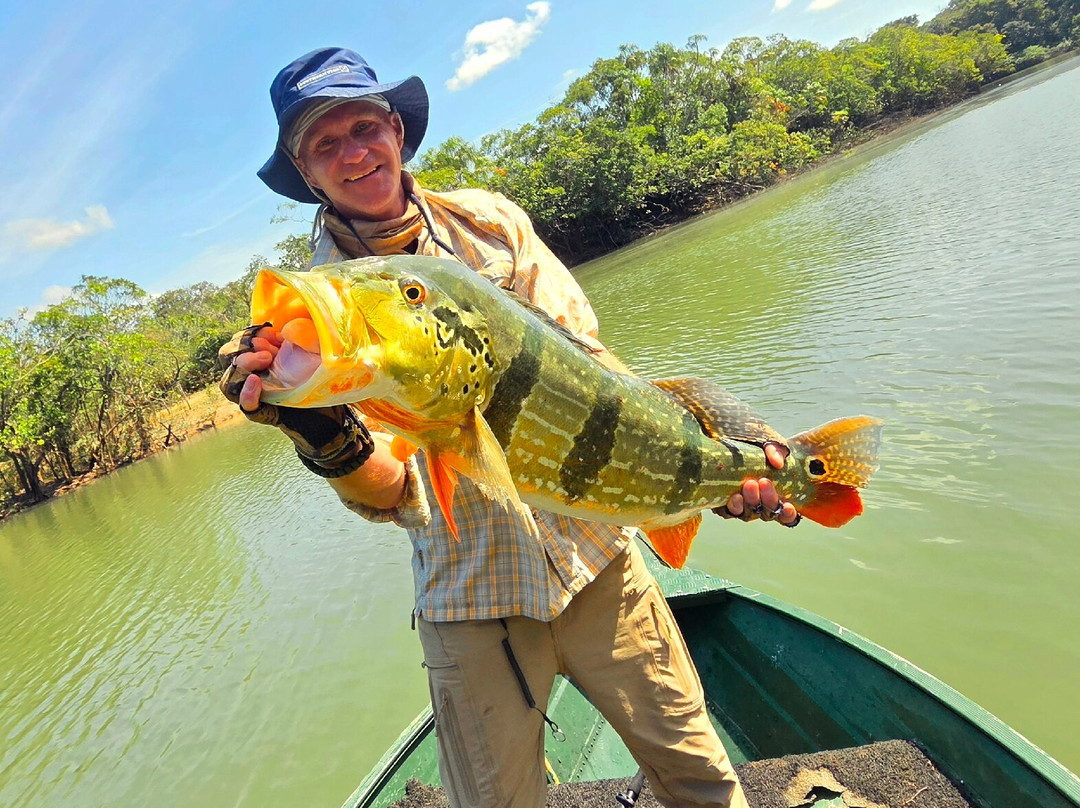 Fish Colombia-麦德林必去景点