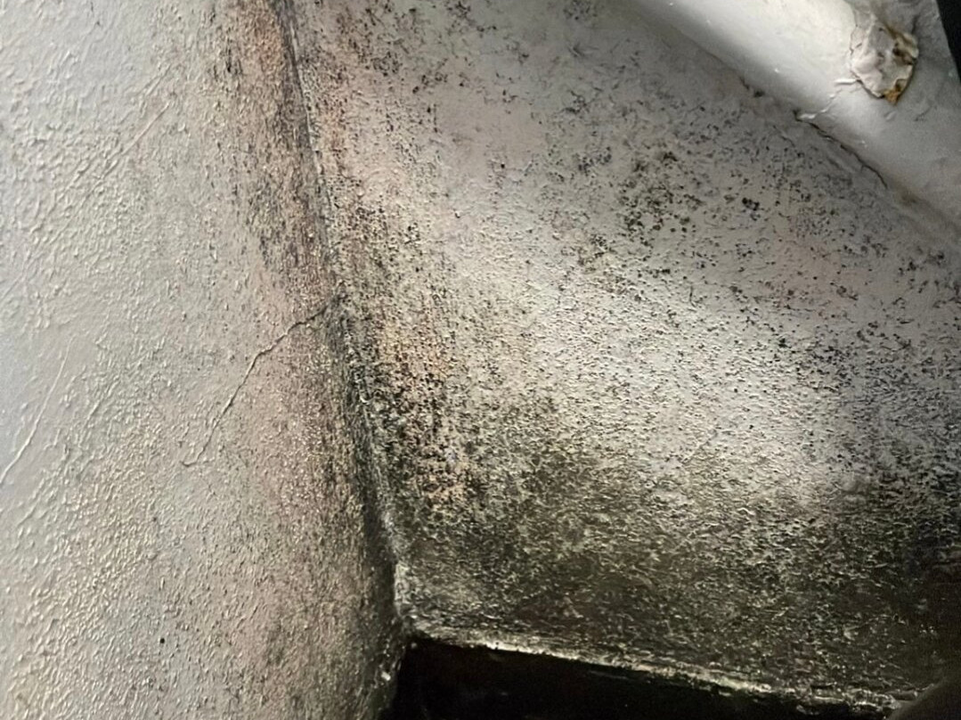 The Red Lion-Littleborough必去景点