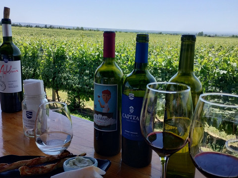 Finca Adelma-Tupungato必去景点